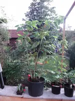 DSC01097.webp