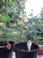 DSC01098.webp
