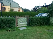 DSC00351.webp