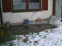 CIMG3699.webp