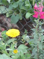 IMG_5032.webp