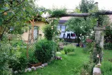 Rosenbogen.webp