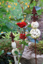 Rote Kletterrose.webp