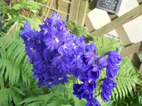 DSCN0754.webp