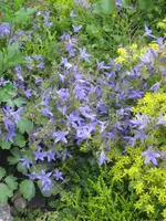 IMG_5047.webp