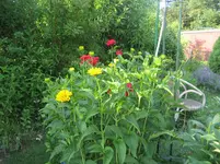 IMG_5041.webp