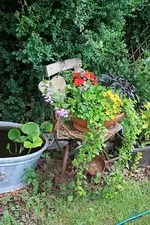 Blumenstuhl.webp
