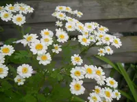 DSCN0761.webp