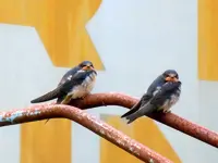 DSCN4365.webp