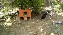 070620111656.webp