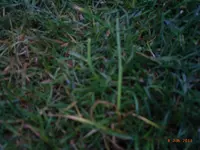 ssd 028.webp