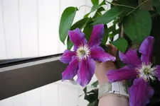 DSC_1467.webp