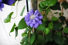 DSC_1468.webp