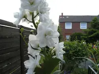 BILD1311.webp