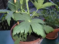 BILD1313.webp
