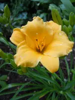 086.webp