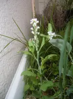 RIMG2561.webp