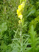 DSCF6579.webp