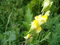 DSCF6580.webp