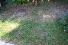 IMG_0997.webp