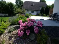 DSCF9481.webp