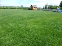DSCF9486.webp