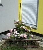 DSCF9489.webp