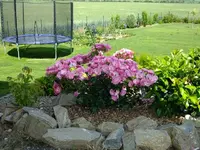 DSCF9490.webp