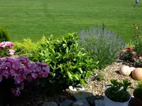 DSCF9491.webp
