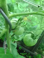BILD0054.webp