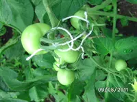 BILD0055.webp
