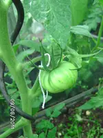 BILD0058.webp