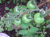 BILD0060.webp