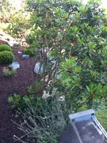 IMG_0053.webp