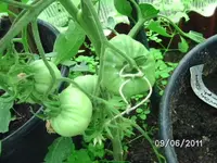 BILD0068.webp