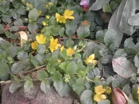 P080611_15.26.webp