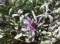 P250511_17.14.webp