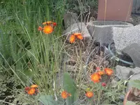 P080611_15.32.webp