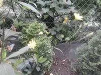 P080611_15.31.webp