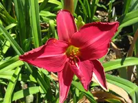 IMG_sämling nr 1_1067x800.webp