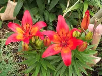 DSCF0475.webp