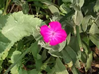 DSCF0470.webp