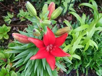 DSCF5499.webp