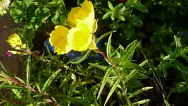 K800_9.Juni 233.webp