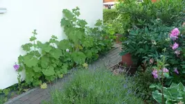 K800_9.Juni 248.webp