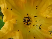 DSC00928.webp