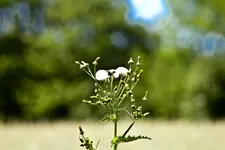 Hasberge 5.6.11 und Bärbel (25 von 29).webp