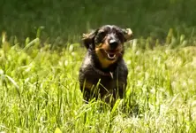 Hasberge 5.6.11 und Bärbel (20 von 29)z.webp