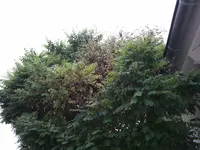 2011-06-10 06.38.11.webp