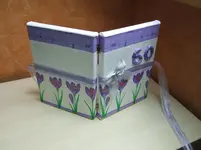DSCF5473.webp